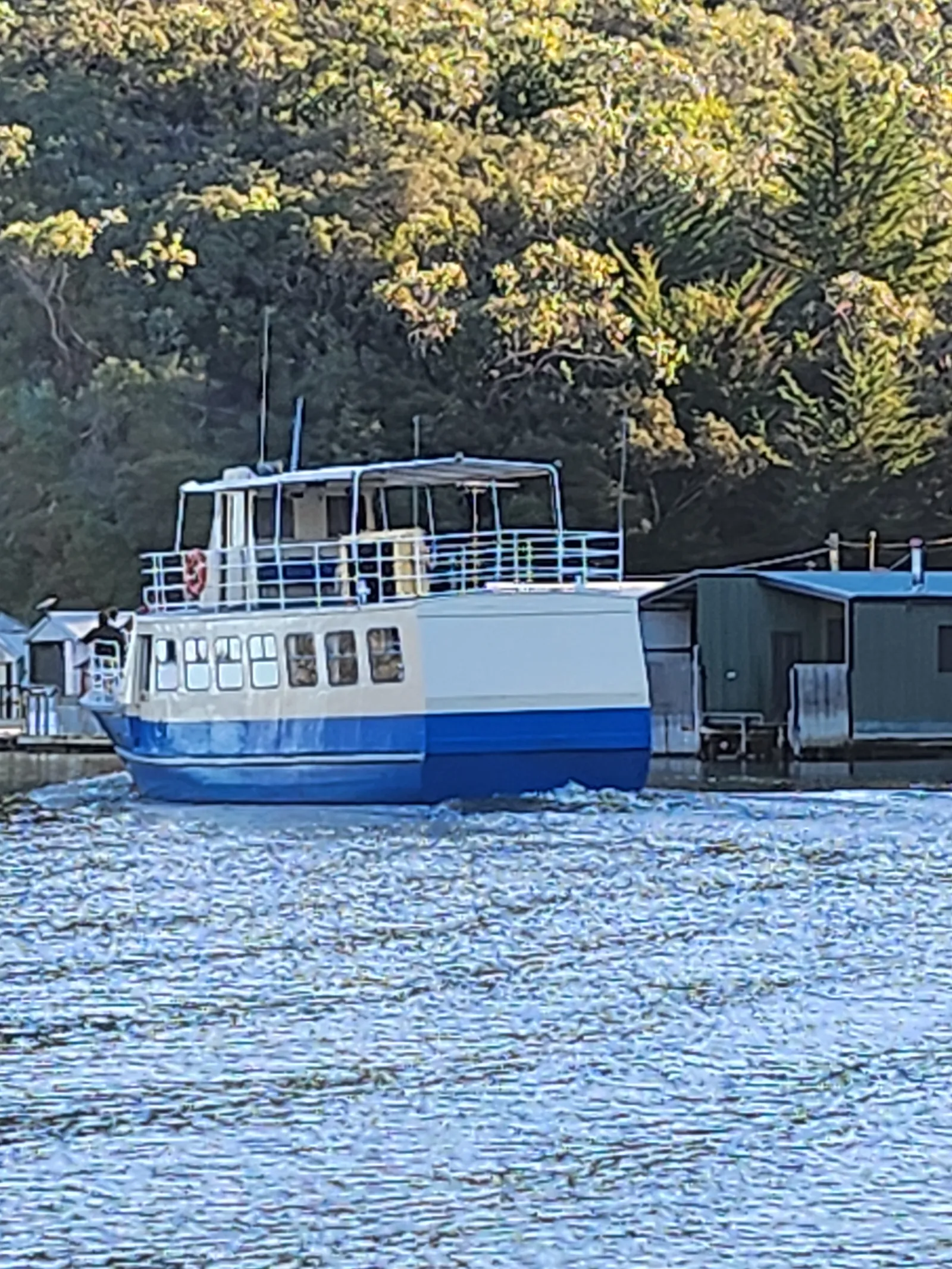 MV Mini Munya passing beneath the limestone cliffs on the Glenelg River