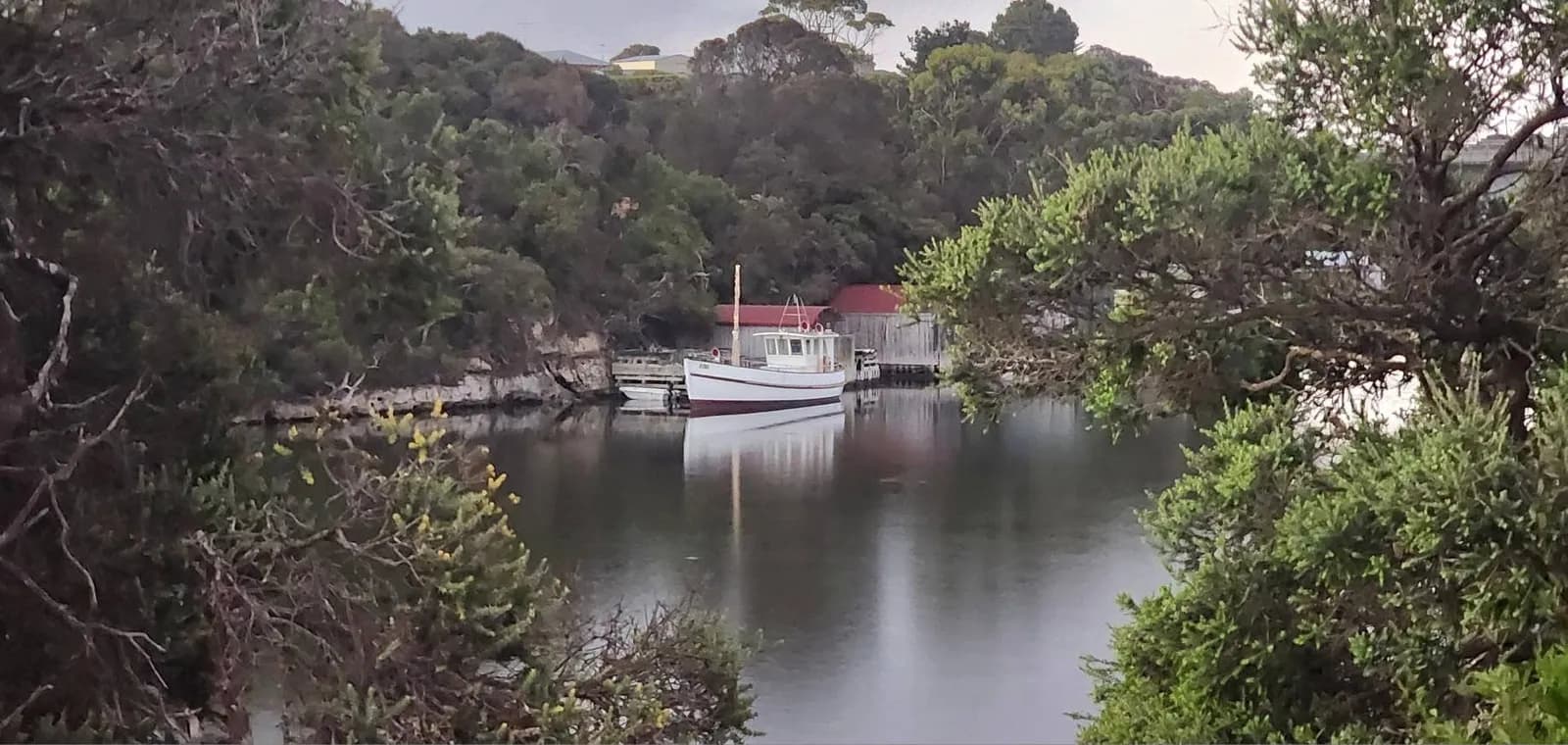 A boat moored beside a river shed among the trees at first light