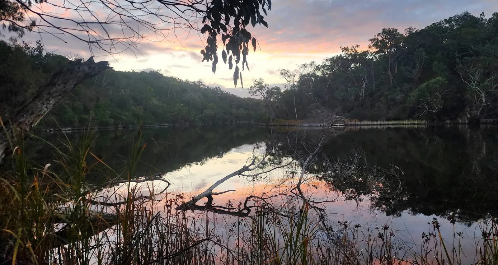 Sunset over the Glenelg River seen through overhanging river gums