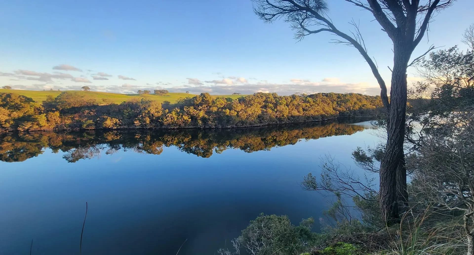 Golden evening light on a bend of the Glenelg River where bushland meets farmland