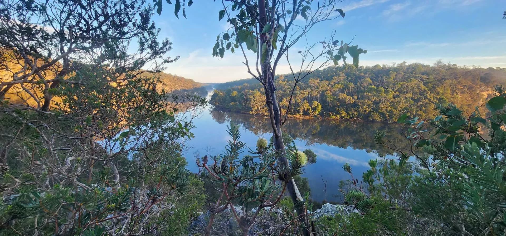 The Glenelg River winding between forested banks at first light