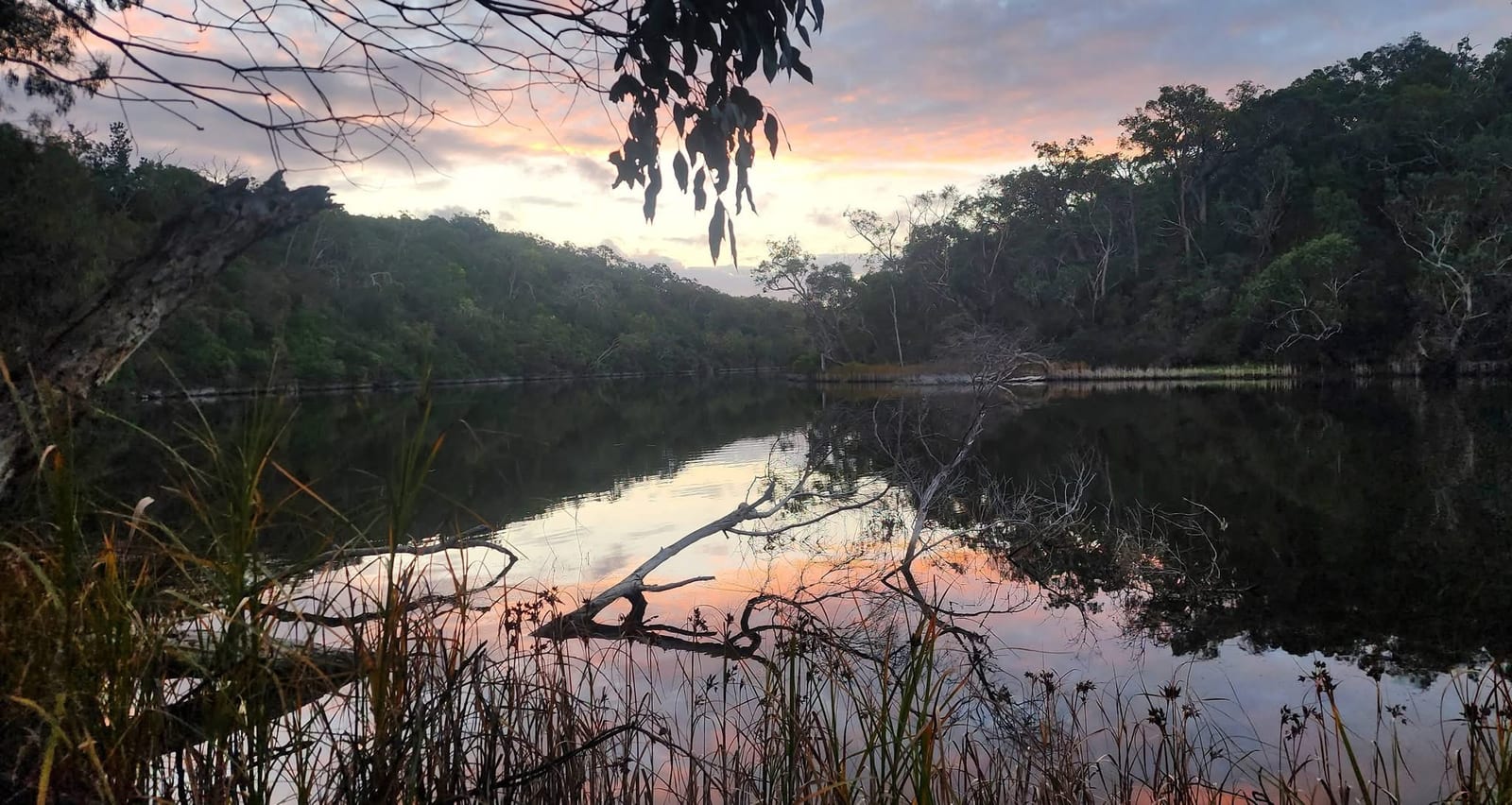 Sunset over the Glenelg River seen through overhanging river gums