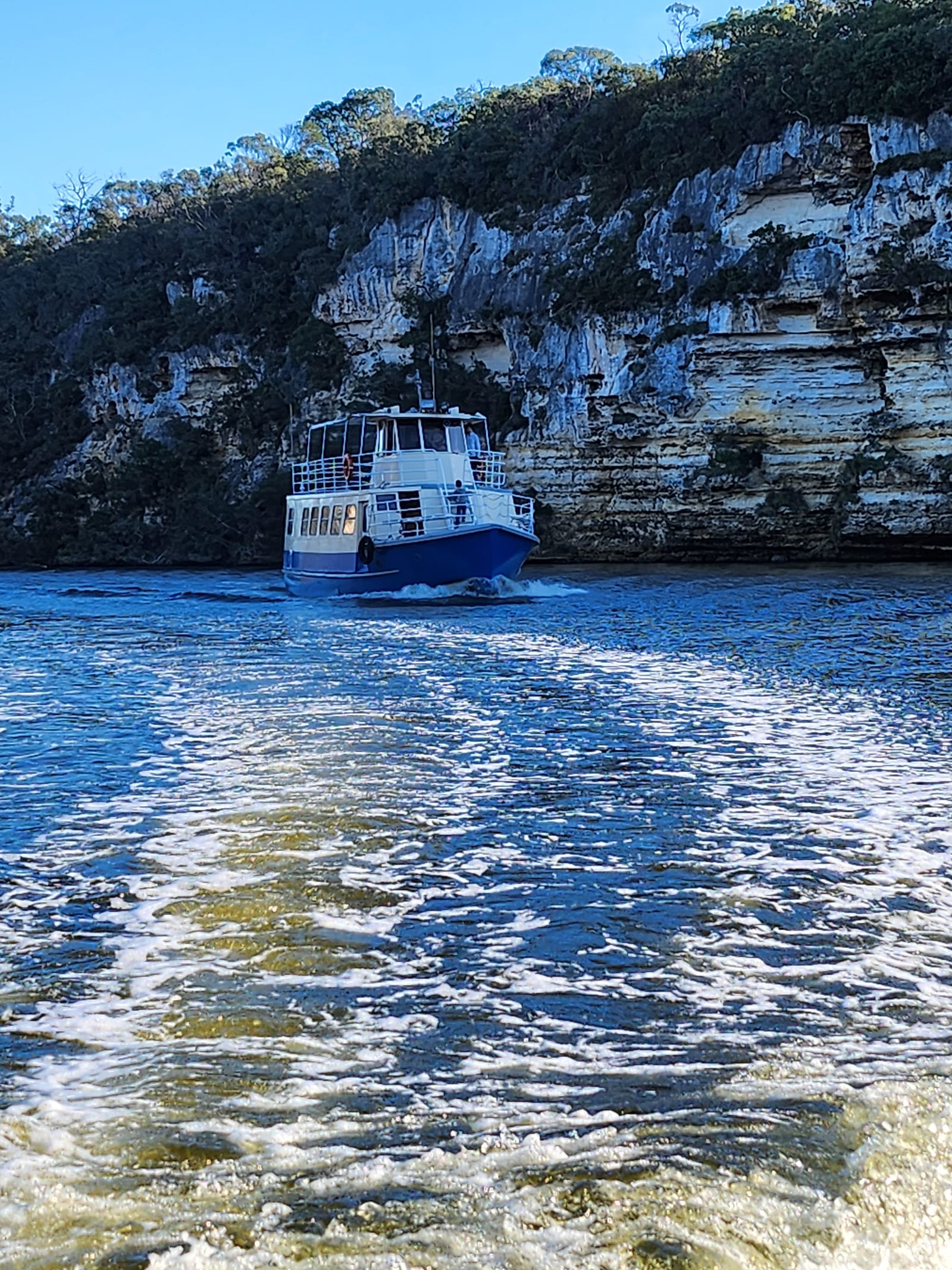 MV Mini Munya's wake trailing back towards the limestone cliffs