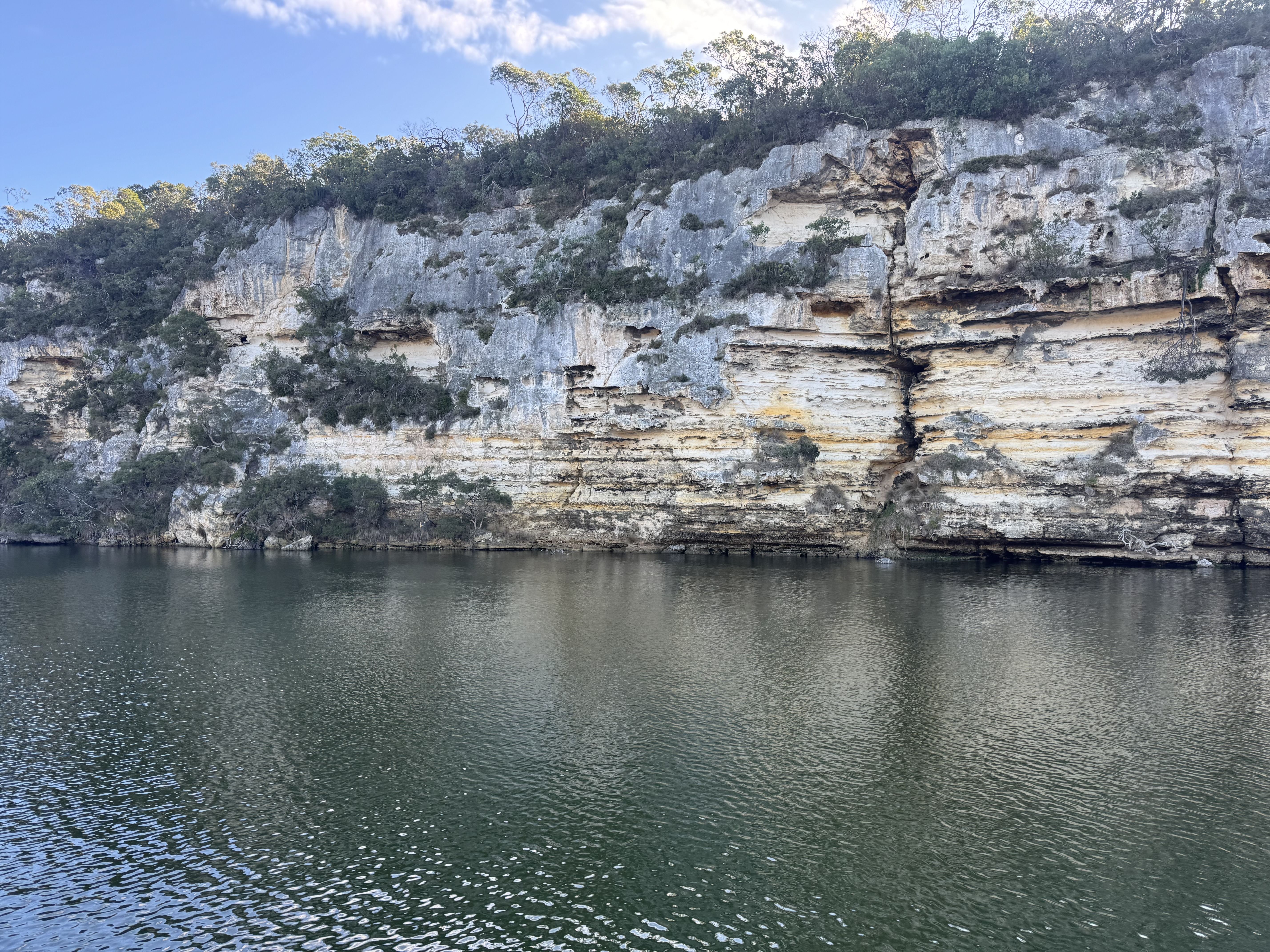 Limestone cliffs along the south-west Victorian coast