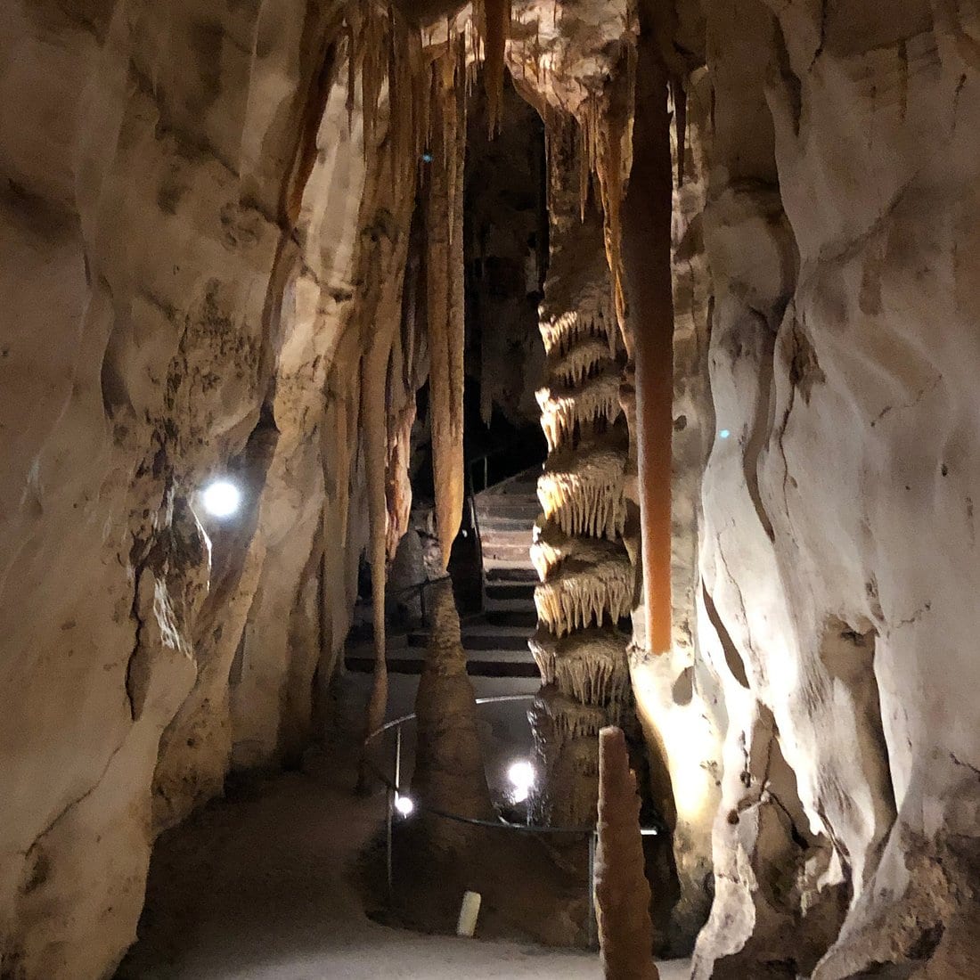 Stalactites and limestone columns inside Princess Margaret Rose Cave